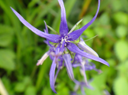 c0179351_17315761.jpg