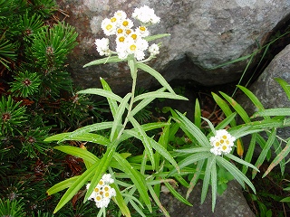 e0004756_20152717.jpg