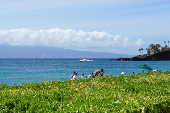 c0153259_9215523.jpg