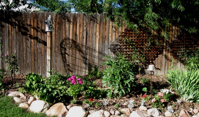 b0207361_120473.jpg