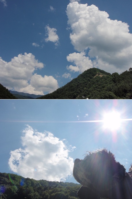 f0096569_6475189.jpg