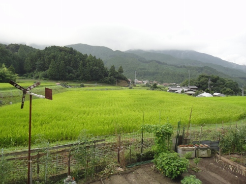 d0182075_1056143.jpg