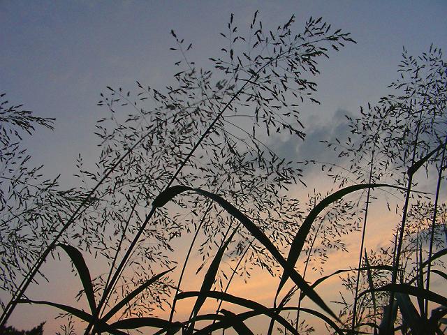 a0044076_9522114.jpg