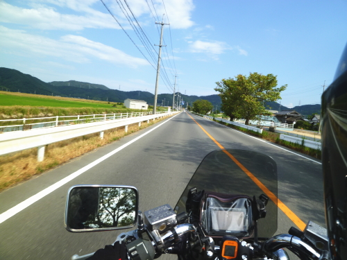d0179983_1654258.jpg
