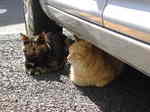 DSCF0346.JPG