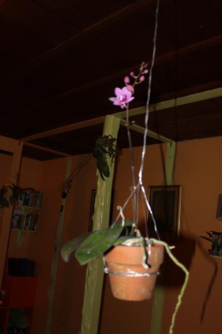 f0138588_23561999.jpg