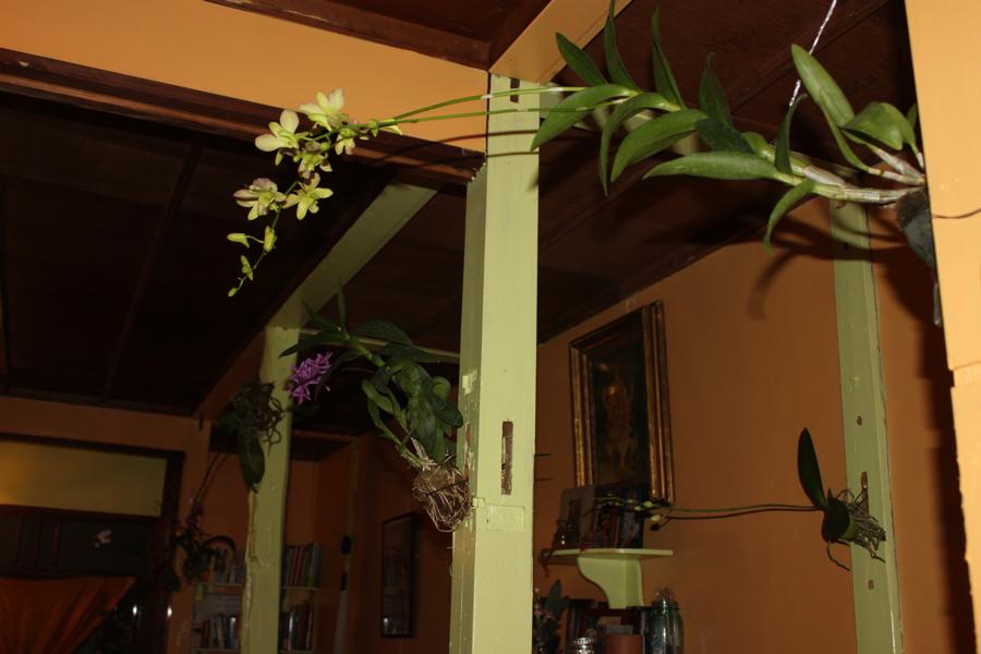 f0138588_235643.jpg