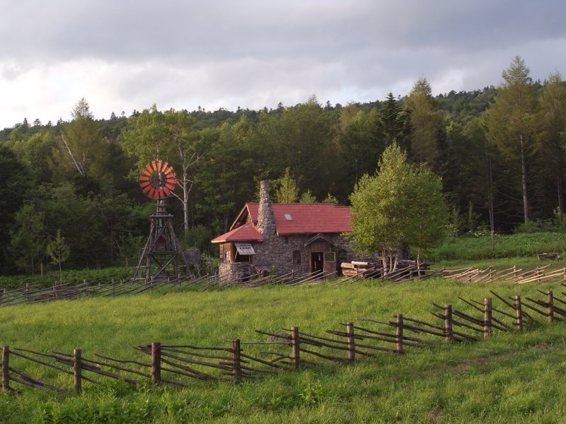 a0137192_804487.jpg