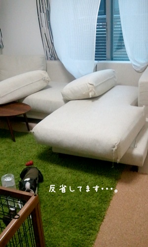 e0229992_1445533.jpg