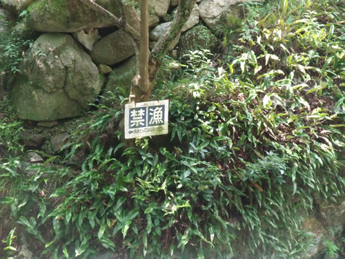 d0150395_20205460.jpg