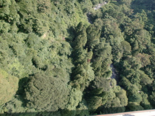 d0115997_239755.jpg