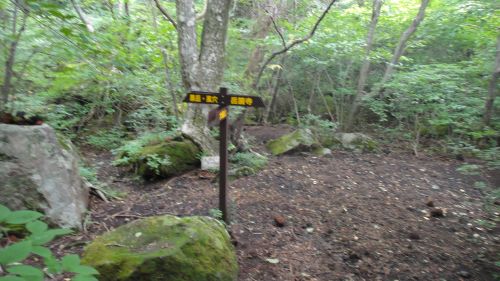 f0036700_11131783.jpg