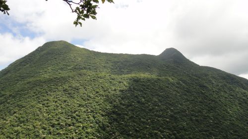 f0036700_1113584.jpg