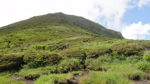 f0036700_11142537.jpg