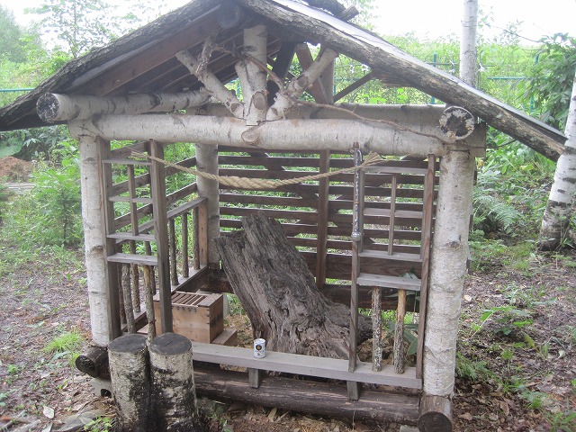 f0202703_20595512.jpg