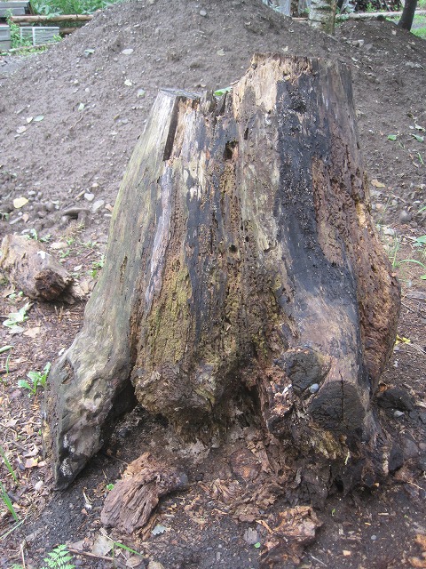 f0202703_2111294.jpg