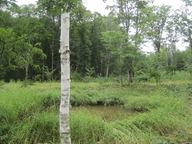 f0202703_2112914.jpg