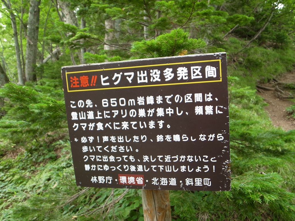 b0050305_618618.jpg