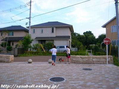 e0145805_0572727.jpg