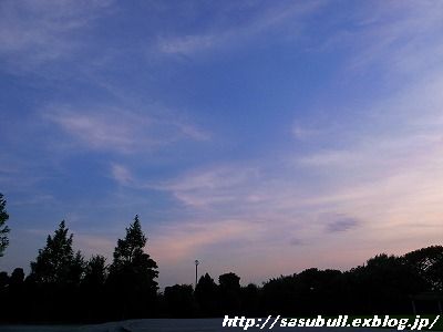 e0145805_05822.jpg