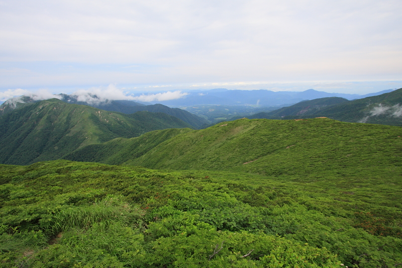 b0180907_1347882.jpg