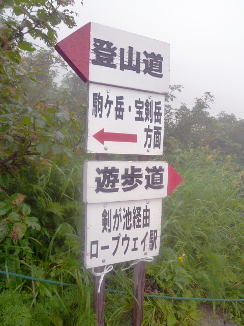 d0170615_217284.jpg