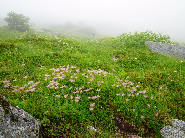 d0170615_2174150.jpg