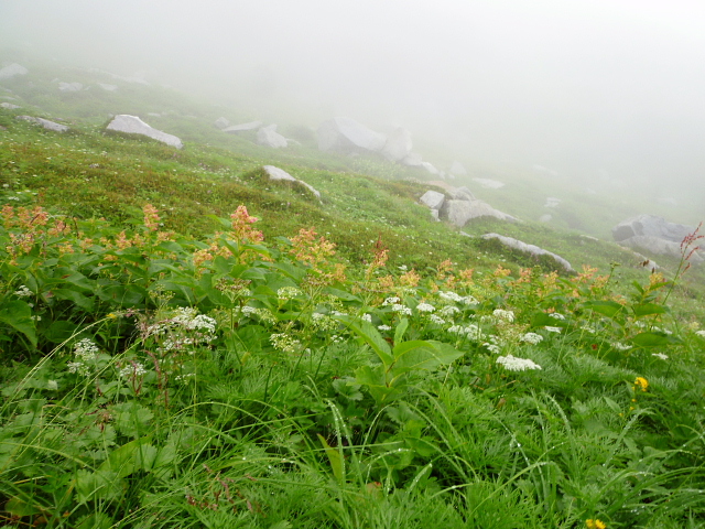 d0170615_2175339.jpg