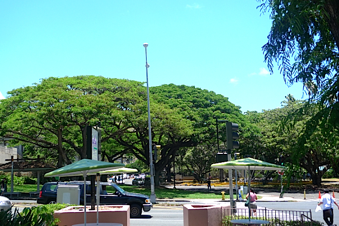 e0157816_1010430.jpg