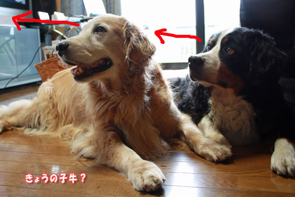 f0203423_932136.jpg
