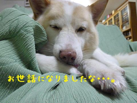 b0138430_2001199.jpg