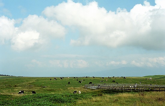 d0001533_22362997.jpg