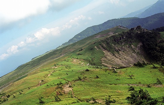 d0001533_22385019.jpg