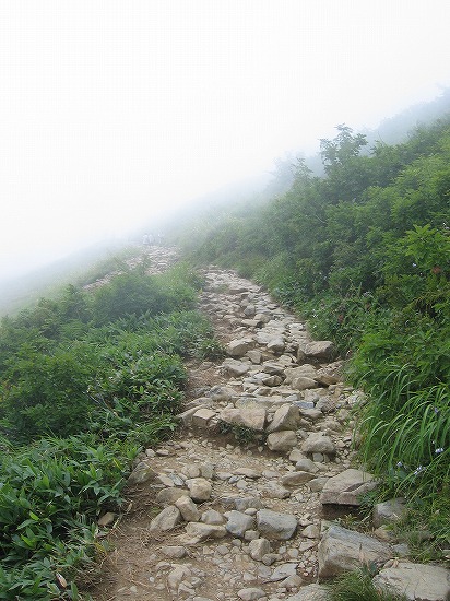 d0001533_2311595.jpg