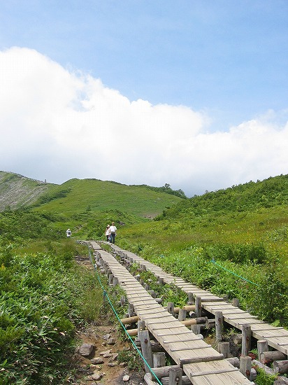 d0001533_23123325.jpg