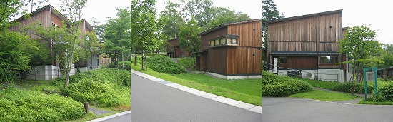 d0001533_2335673.jpg