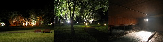 d0001533_23401756.jpg