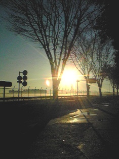 e0048933_2384076.jpg