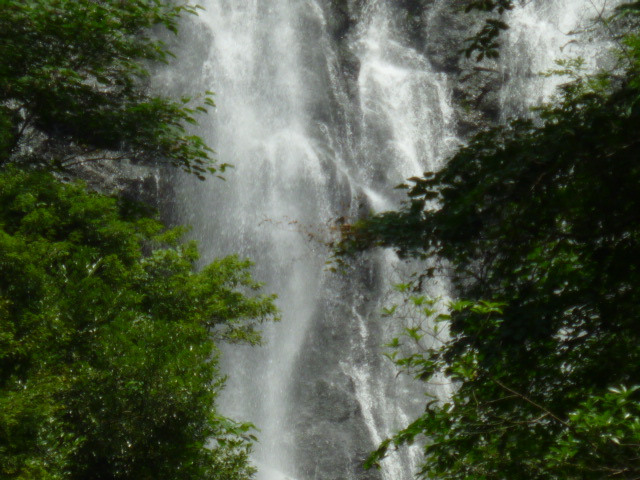 d0174037_11592622.jpg