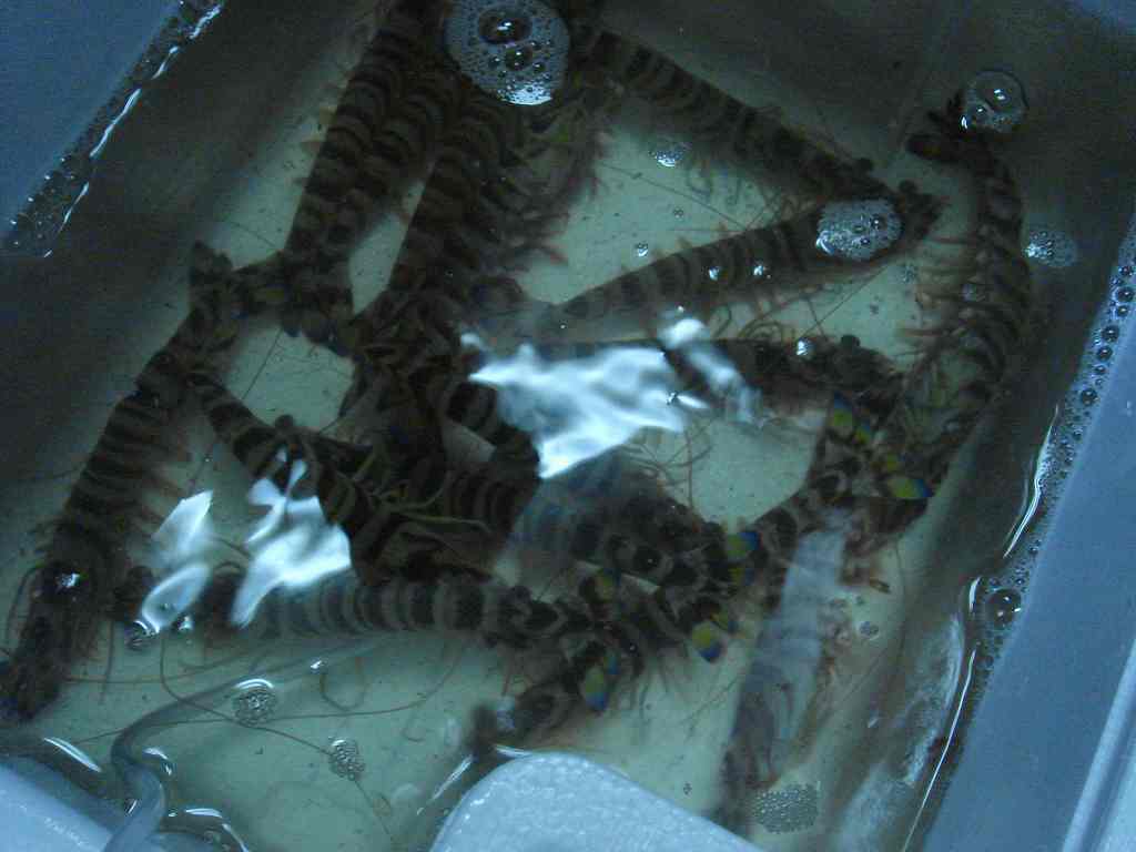 f0208737_9335132.jpg