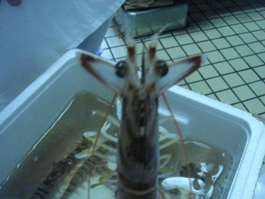 f0208737_9342086.jpg