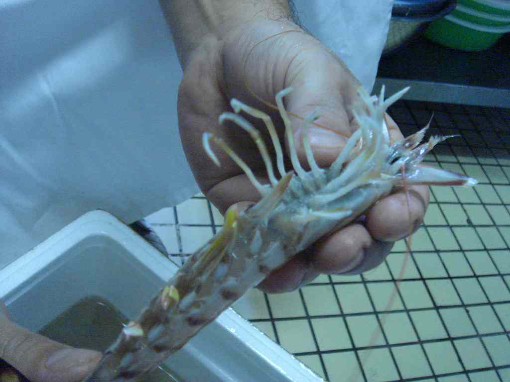 f0208737_9343128.jpg