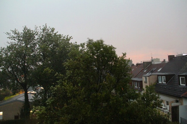 c0153740_3394764.jpg