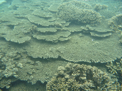 c0149247_21472453.jpg
