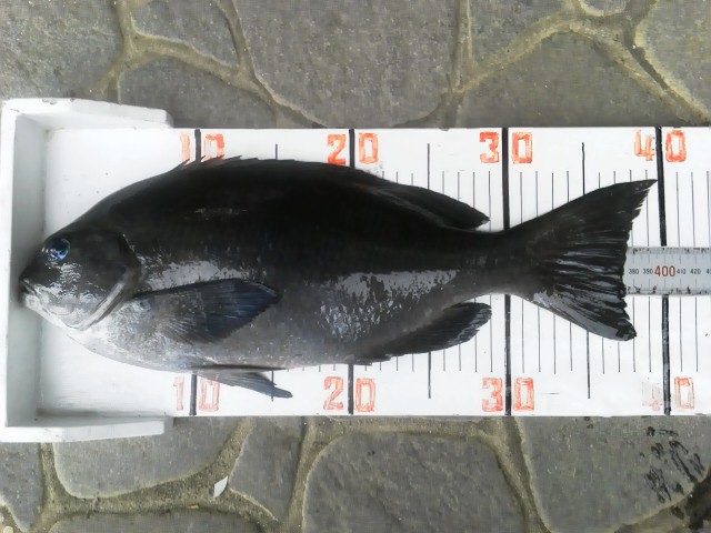 c0149247_21532145.jpg