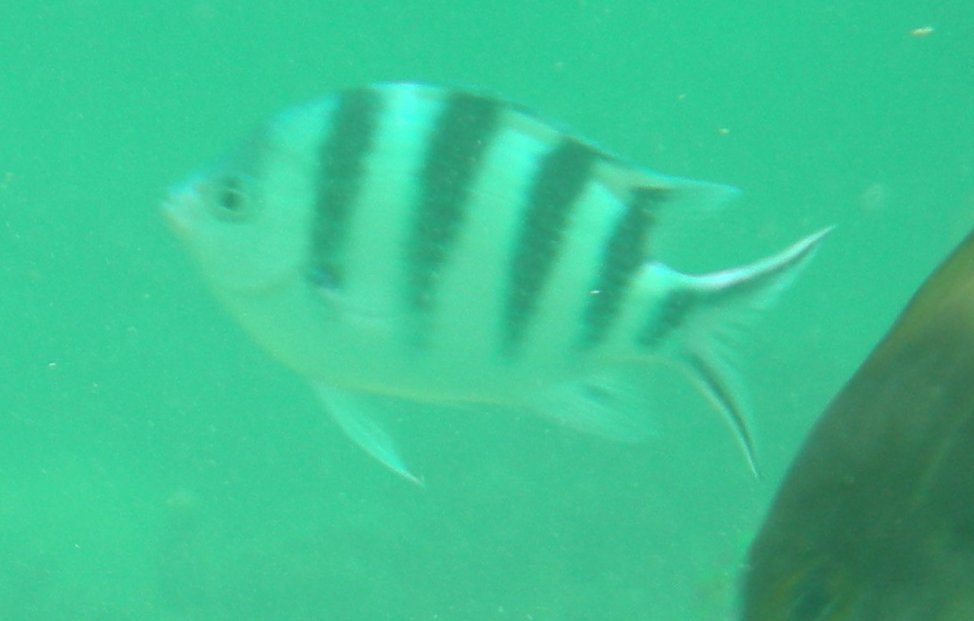 c0143750_17492899.jpg