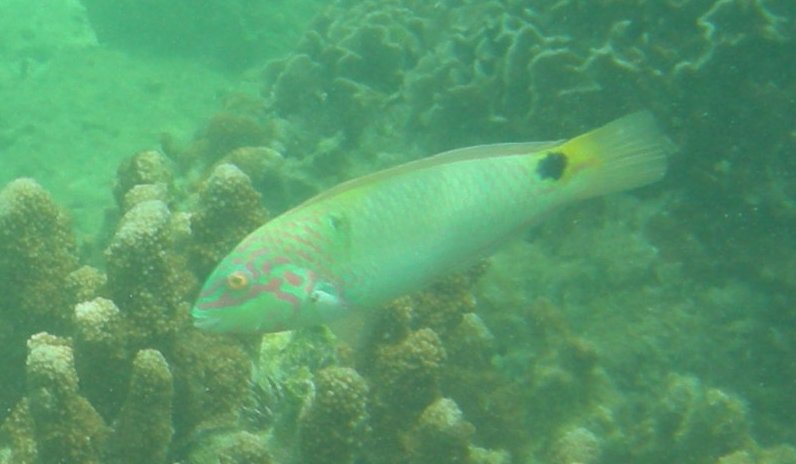 c0143750_19562510.jpg