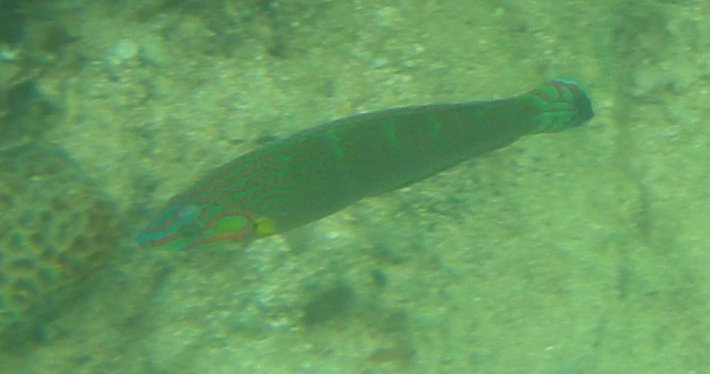 c0143750_20125083.jpg