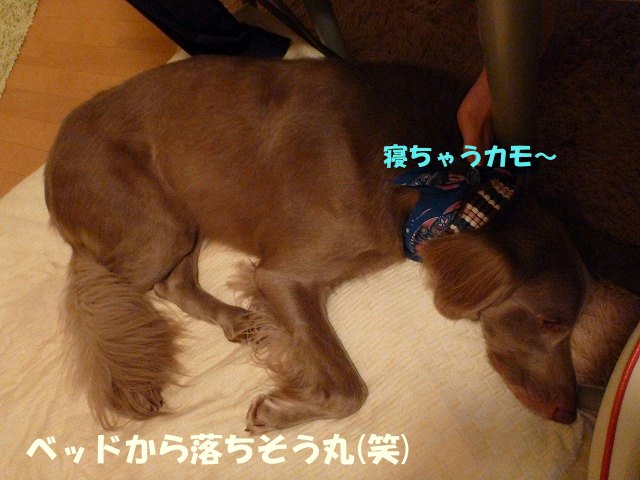 e0176159_10515455.jpg