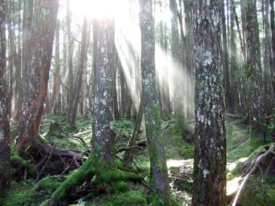 c0011862_915221.jpg